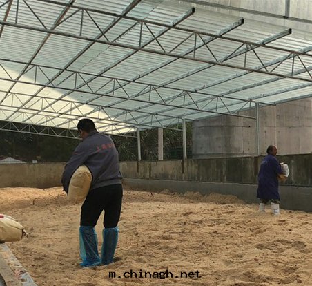 江西(xī)省(shěng)德興市(shì)的(de)第一(yī)个生物(wù)降解(jiě)堆(duī)示範點(diǎn)正(zhèng)式運營