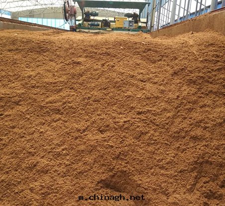 福清(qīng)市(shì)何華安豬场(chǎng)糞尿生物(wù)降解(jiě)堆(duī)