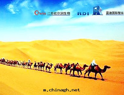 更(gèng)多(duō)新(xīn)聞